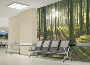 hallway space in Cozy with biophilic mural