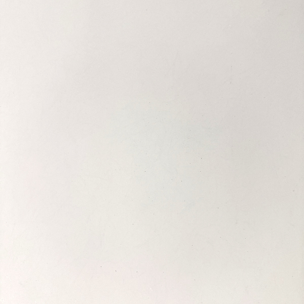 Class A White FRP Ceiling Tile